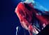 Montreux Jazz, 10 Jul 1999